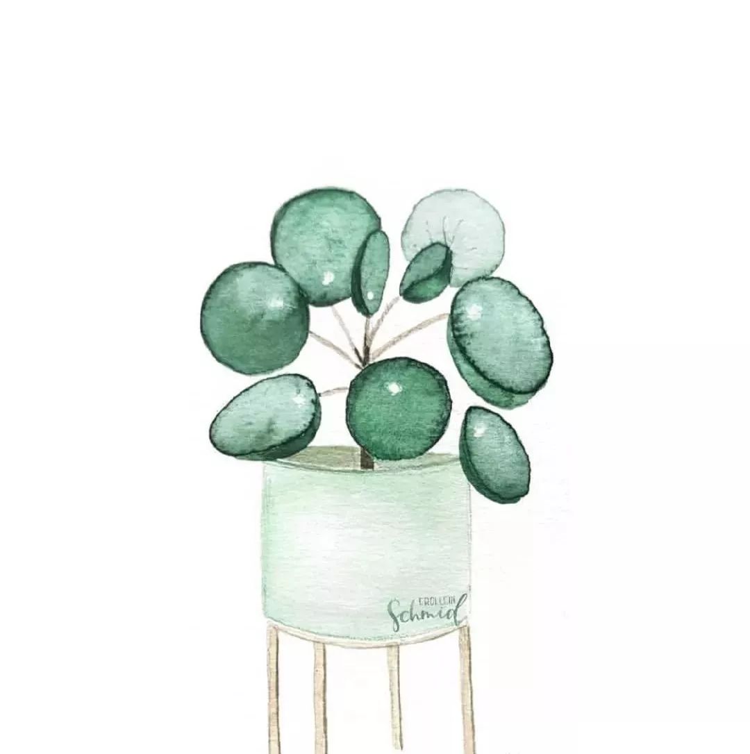 幼兒園招生宣傳語_萌寵活動宣傳推廣語_立新環保園幼兒園分園